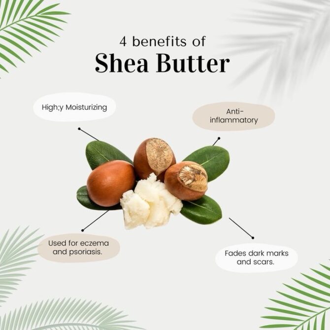 Unrefined Organic Shea Butter - Image 2