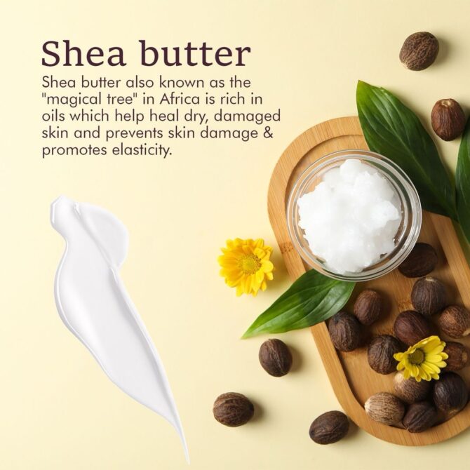 Unrefined Organic Shea Butter - Image 4