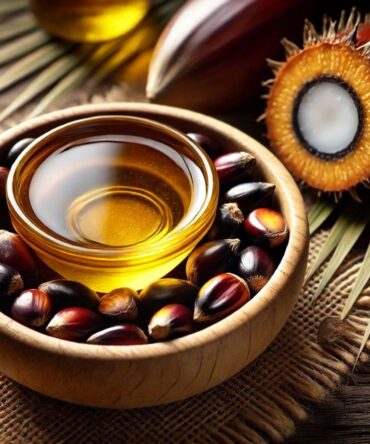 Palm Kernel Oil